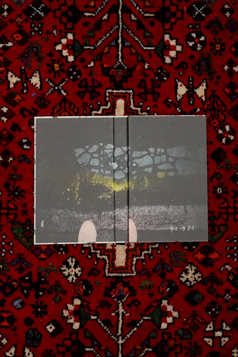 HIBI by Masahisa Fukase(写真集)(フォトブック)の通販