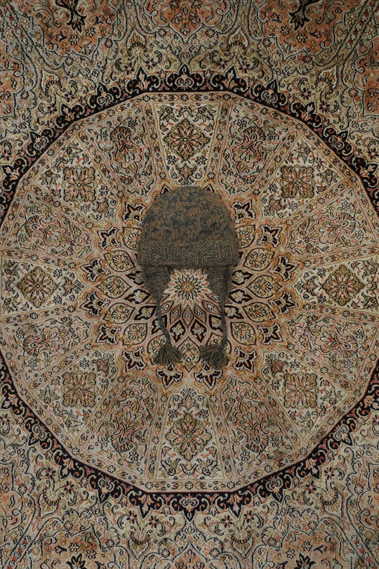 STEAF(スティーフ)のSYMBIOSIS HAND KNITCAP(FOREST GREEN)(ニット帽