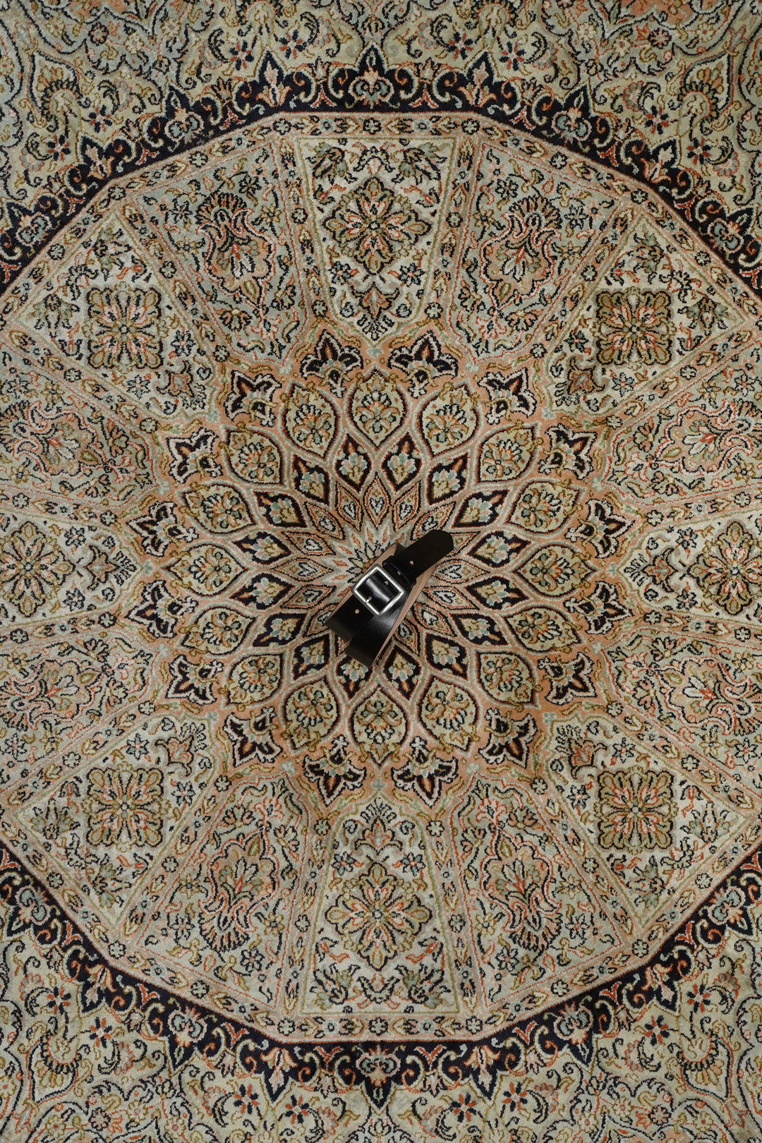 2BE0E99D-5F54-456D-935F-