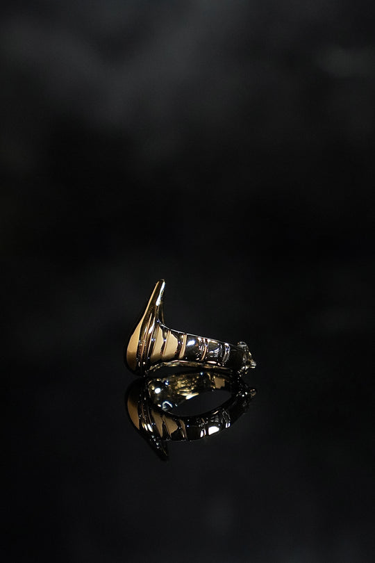 ヤ*ン様 NATURAL INSTINCT DROP Pinky ring 別注 359F29BA-293C-4C2C-B4C8-