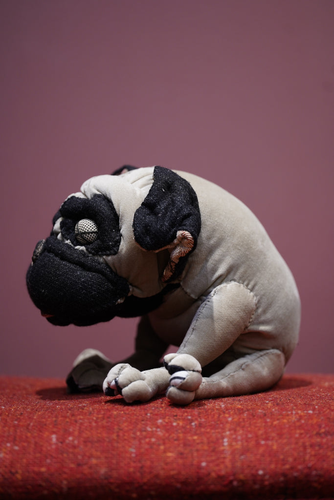 YUYA INAGAWA(ユウヤイナガワ)のPUG(ぬいぐるみ)の通販 | CEDARWOOD