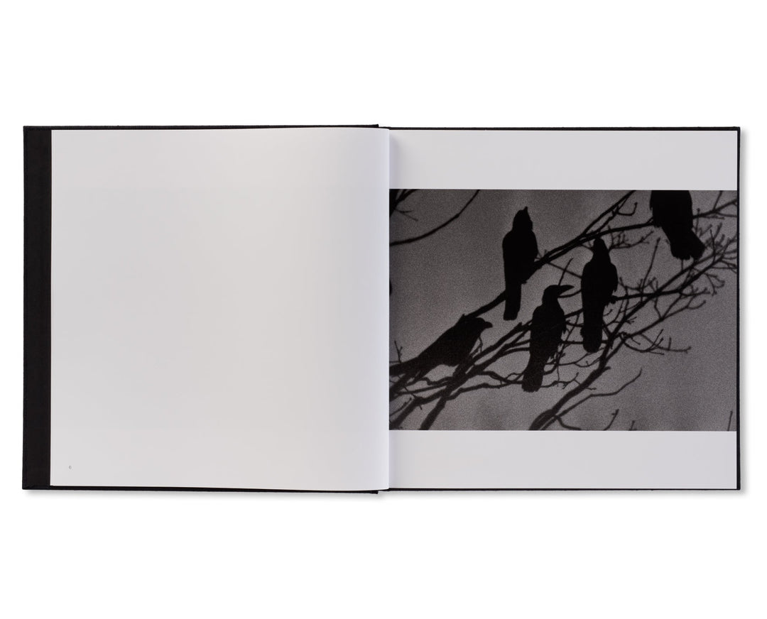 鴉 / RAVENS by Masahisa Fukase(写真集)(フォトブック)の通販