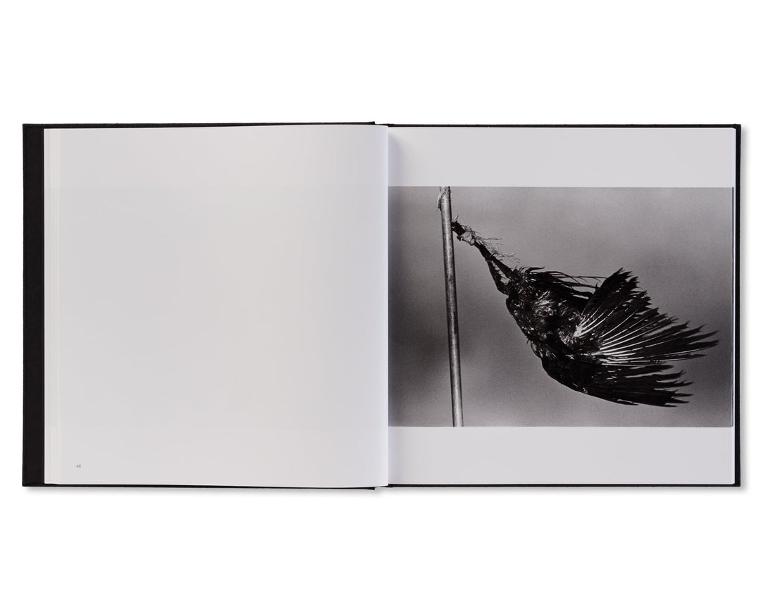 鴉 / RAVENS by Masahisa Fukase(写真集)(フォトブック)の通販