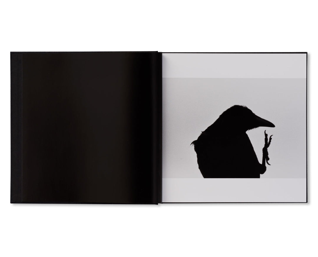 鴉 / RAVENS by Masahisa Fukase(写真集)(フォトブック)の通販