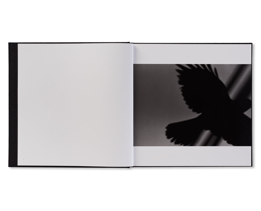 鴉 / RAVENS by Masahisa Fukase(写真集)(フォトブック)の通販