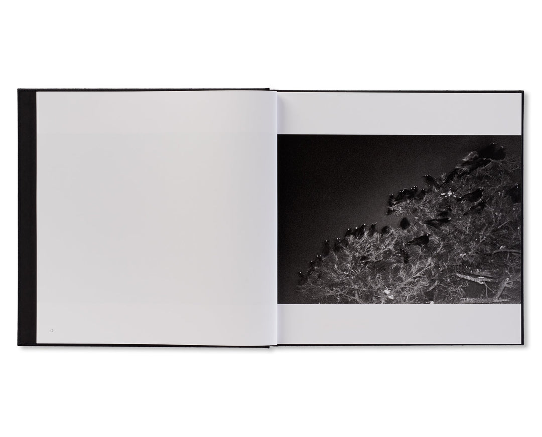 鴉 / RAVENS by Masahisa Fukase(写真集)(フォトブック)の通販