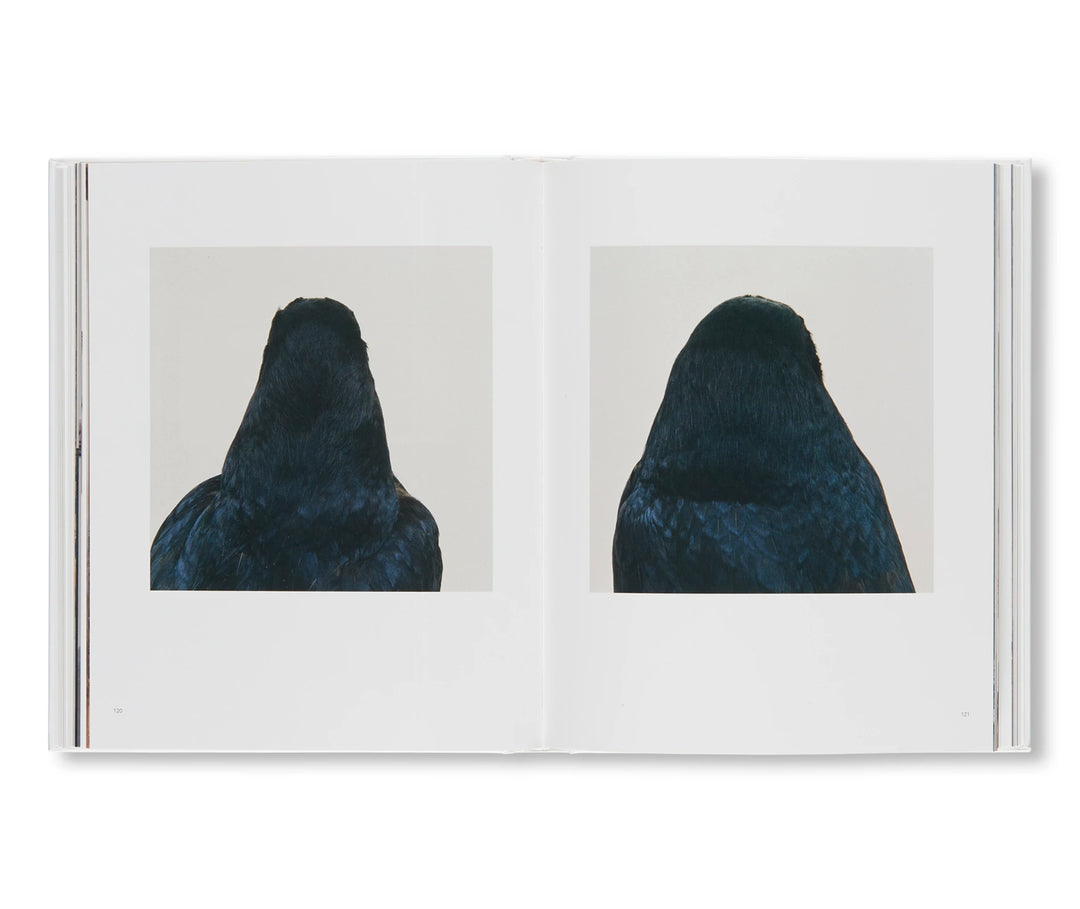 Aka Roni Horn 本　セット AKA by Roni Horn – twelvebooks
