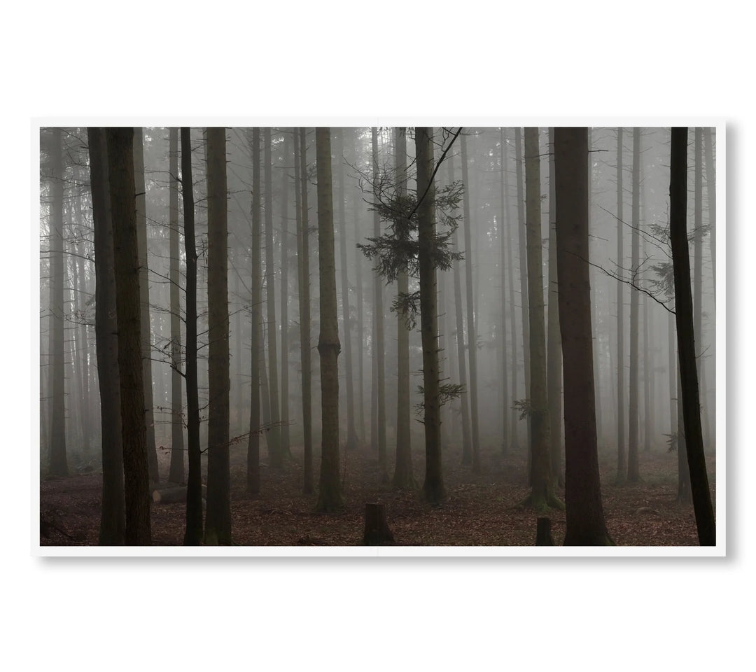 THE ENCOUNTER by Stephan Crasneanscki（写真集）| CEDARWOOD网上商店